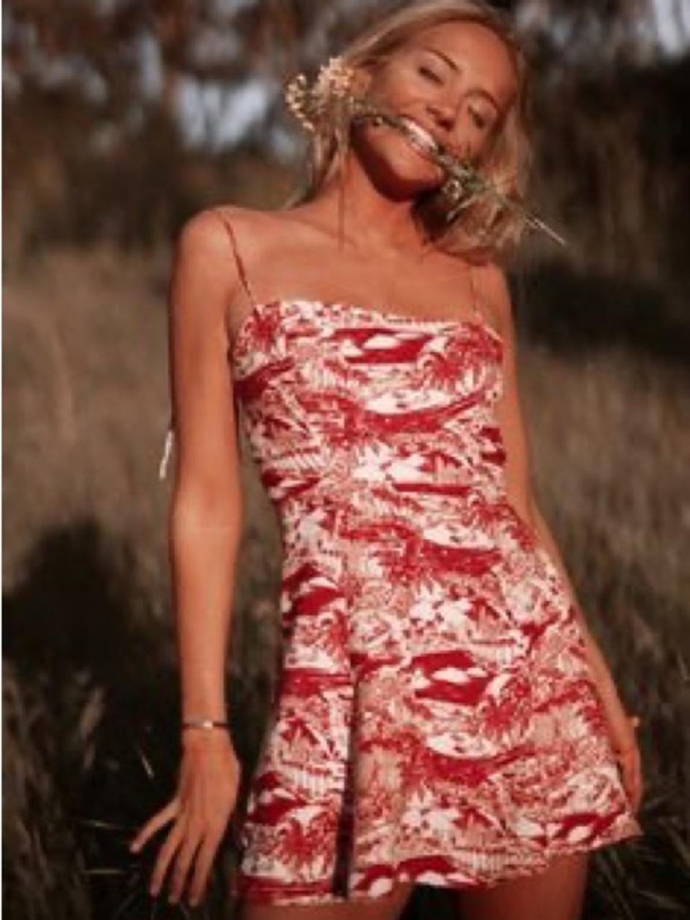 Reformation Sarah Mini Dress| Los Angelos Toile